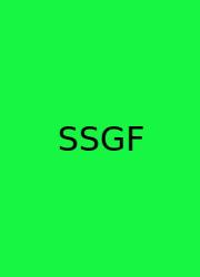 Spielbericht: SV Gegen Freiburg