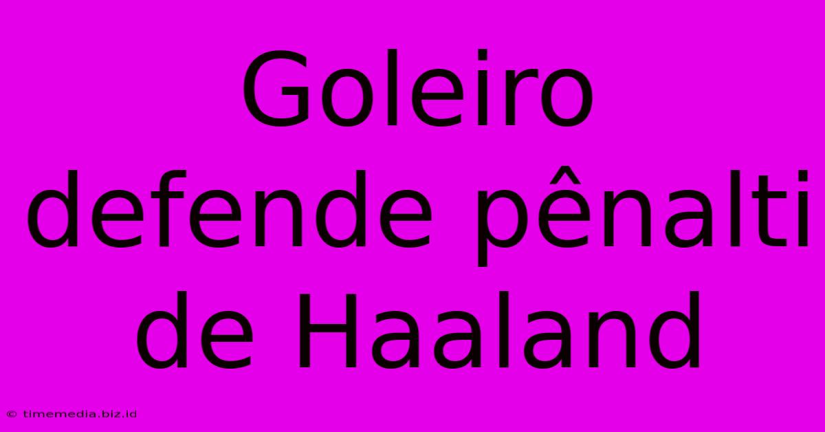 Goleiro Defende Pênalti De Haaland Goleiro Defende Pênalti De Haaland